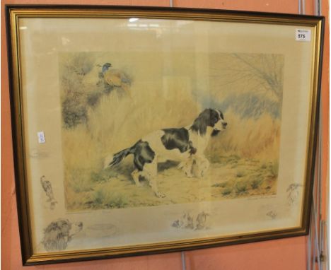 After Alexander Charles-Jones, study of a Spaniel, limited edition coloured print signed in pencil by the artist.  Framed and