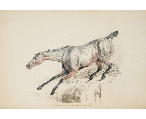 Alken (Henry) The Beauties & Defects in the Figure of the Horse, first edition, engraved pictorial title and 18 hand-coloured