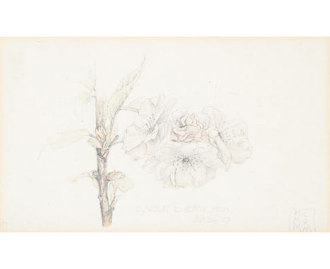 CHARLES RENNIE MACKINTOSH (SCOTTISH 1868-1928) DOUBLE CHERRY, PINK Watercolour and pencil Signed with monogram, titled and da