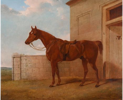 ABRAHAM COOPER (BRITISH 1787-1868) A SURREY HUNTER Oil on canvas Signed with monogram and dated '1850' (lower left); further 