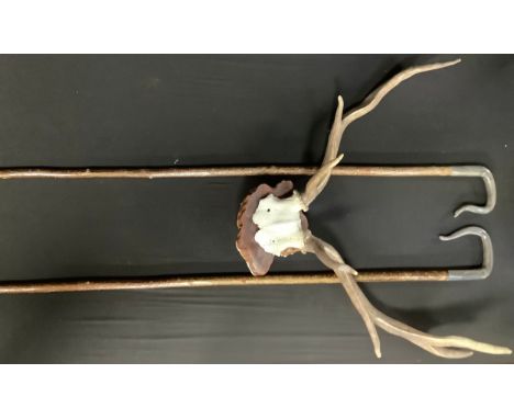 A pair of antlers on skull plate, mounted on tree section; a horn handled fell walking stick, 122cm high; another, 120cm high