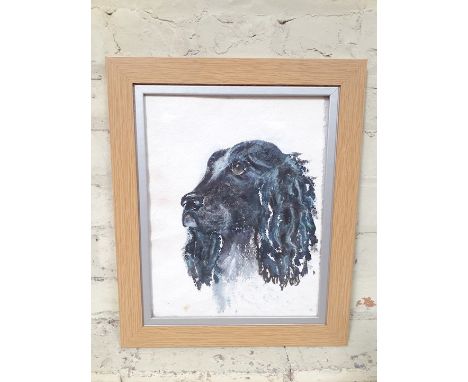 20th Century School, portrait of a spaniel, watercolour, 26.5cm x 34.5cm, unsigned, glazed and framed 37cm x 45cm. 