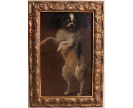 Attributed to Adriaen de Gryef (Flemish, 1670-1715) Portrait of a Cavalier King Charles Spaniel - Phalene, oil on canvas laid