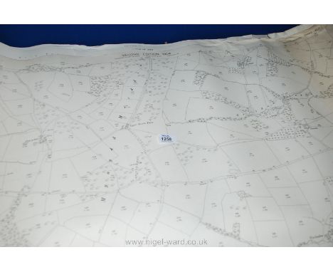 A quantity of old Ordnance Survey Maps of local interest.