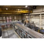 Nercon Overhead Conveyor from Depal Accumulation to Twist Rinse, Approx 18" W x 15' | Rig Fee $2500
