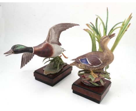 A pair of Royal Worcester Limited Edition models, by R.Van Ruyckevelt, of "Mallard Male" and "Mallard Female", both with cert
