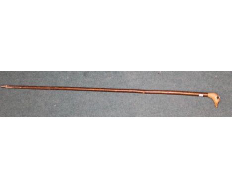 Walking stick with hazel shank and carving of ferret handle with glass eyes L132cm 
