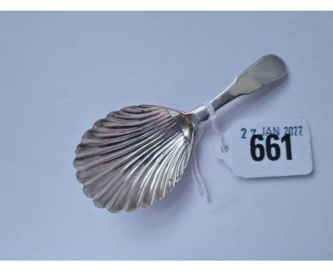 A Scottish fiddle pattern caddy spoon with shell bowl Dundee Circa 1810 by TS 