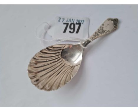 A caddy spoon with shell bowl and flower engraved handle Sheffield 1896 by HA 