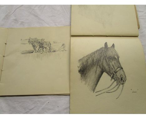 2 early sketch books