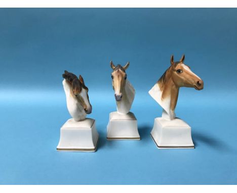 Three Royal Worcester porcelain horse head busts 'Phlegon', 'Equs' and 'Aethon'
