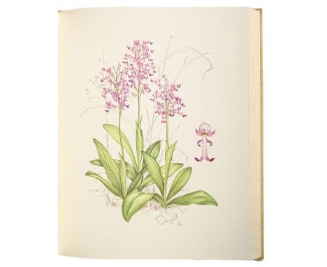 Botany, Orchids. Hunt (Francis P.) &amp; Grierson (Mary A., illustrator),&nbsp;Orchidaceae, signed by the author and illustra