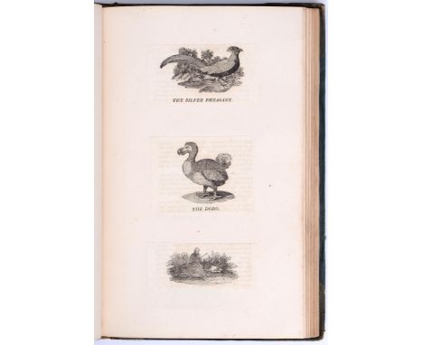 Bewick (Thomas, illustrator), an album of approx. 300 woodcuts taken from his natural history works, including birds, insects