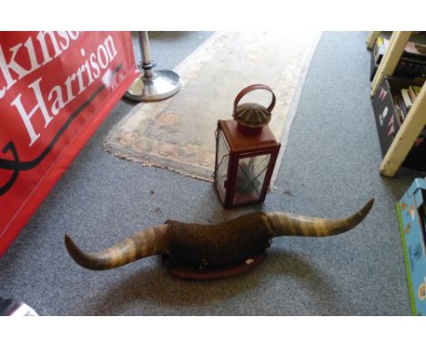A pair of mounted cow horns, together with a lantern (2)