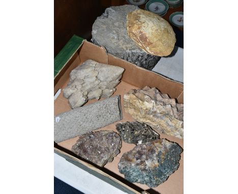 A BOX OF LARGE MINERAL SPECIMENS, to include crystal specimens quartz, amethyst, a large fossilized clam and other specimens