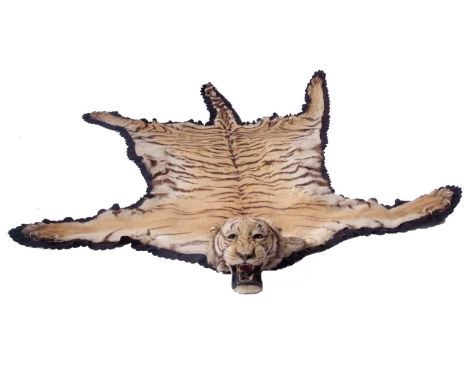 First half of 20th century pre 1947. 1910s -20s possibly by Kalloo &Sons of Calcutta, India. Taxidermy Bengal Tiger (Panthera