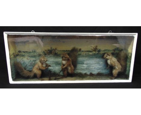 A Victorian taxidermy diorama of squirrels playing cricket against a painted background, 37 x 92 x 14cm