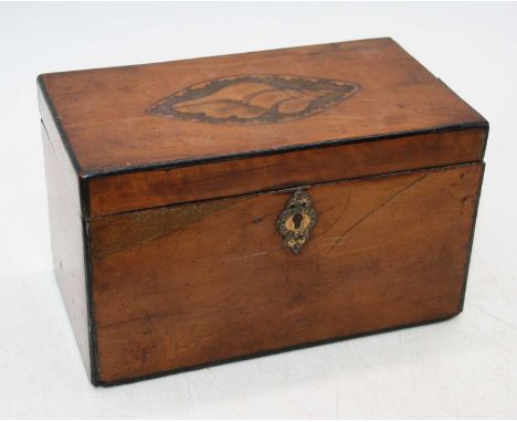 A 19th century satin wood tea caddy, the lid marquetry inlaid with a conch shell, lifting to reveal twin compartments, width 