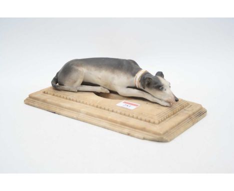 A bisque porcelain model of a recumbent greyhound, mounted upon a polished hardstone plinth, w.27cm 