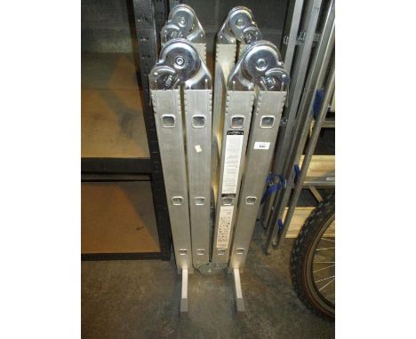 Folding Ladder 