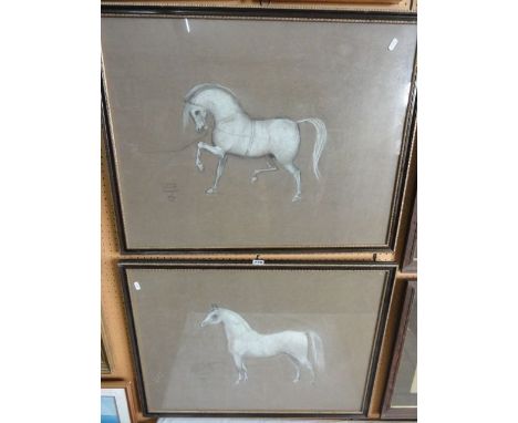 A pair of early 20th century charcoal and pastel studies of champion Welsh ponies by Lady Wentworth, one inscribed - Champion