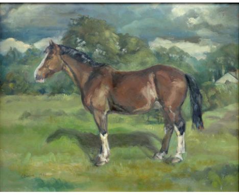 CLAIRE BURTON, PORTRAIT OF A HORSE, SIGNED AND DATED 1980, OIL ON HARDBOARD, 38 X 48CM 