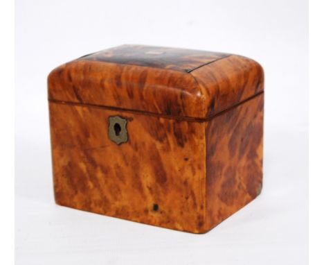 Small Georgian tortoiseshell tea caddy of rectangular form with white metal stringing, the interior with lidded compartment, 
