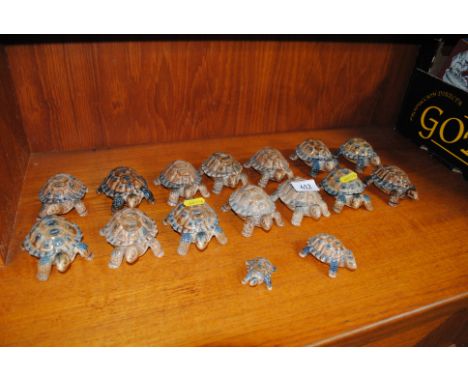A collection of Wade tortoises