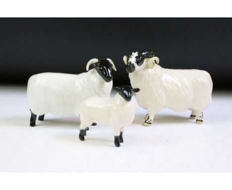 Three Beswick ceramic sheep figurines to include a ewe, and two horned sheep. All with stamped marks to the bases. Largest me