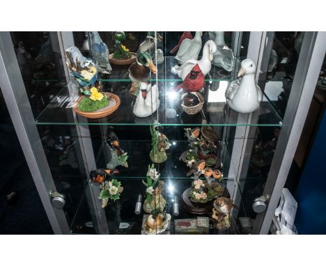 A Good Collection of Ceramic Bird Figures. Includes 1 x Mistle Thrush, 1 x Wren, 1 x Pigeon, 1 x Duck Large, 1 x Red Bird, 1 