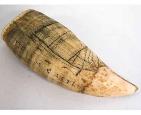 A 19thC. worked small sperm whale tooth scrimshaw, inscribed "Jill M Castle" with sketch of a sail boat, split to underside &