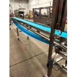 F.E.M.C STAINLESS STEEL FRAME PLASTIC CONVEYOR