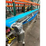 F.E.M.C STAINLESS STEEL FRAME PLASTIC CONVEYOR
