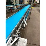 F.E.M.C STAINLESS STEEL FRAME PLASTIC CONVEYOR