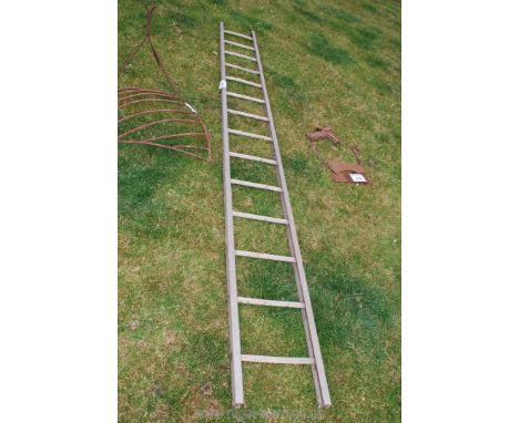 14 rung aluminium ladder.