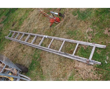 An eleven rung double aluminium ladder.