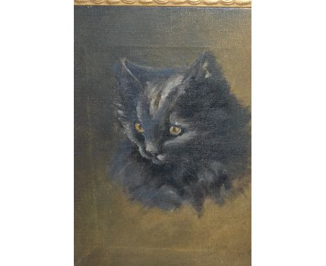Early 20th Century oil on canvas, portrait of a cat, indistinctly initialled, 10ins x8ins