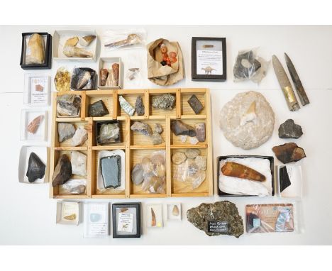 Natural History - Selection of fossilised teeth to include Mosasaur, Rebbachisarus, Raptor, shark, Bahariasaurus, mommoth tus