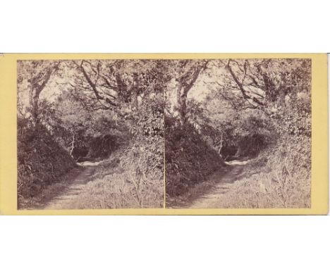 A Guernsey interest stereoview card of a wooded lane near Moulin Huet Bay, by T. B. Hutton, pastedown title verso.