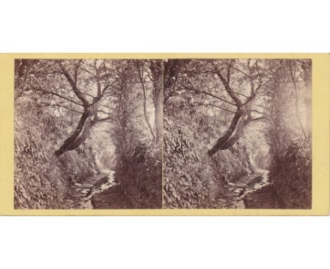 A Channel Islands stereoview card depicting 'The Watery Lane near Moulin Huet Bay', Guernsey, by T. B. Hutton, pasted title v