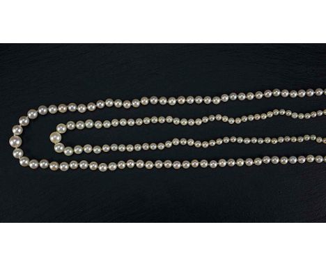 A single strand cultured pearl necklace 1920s-30s, pearls graduated from 2mm. to 6.5mm., with paste set silver clasp, 19in. (