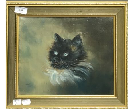 JANET BROOK, Portrait of a Cat, oil, framed