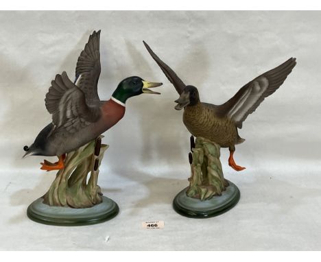 A pair of Boehm USA bisque porcelain mallard ducks. 12" high