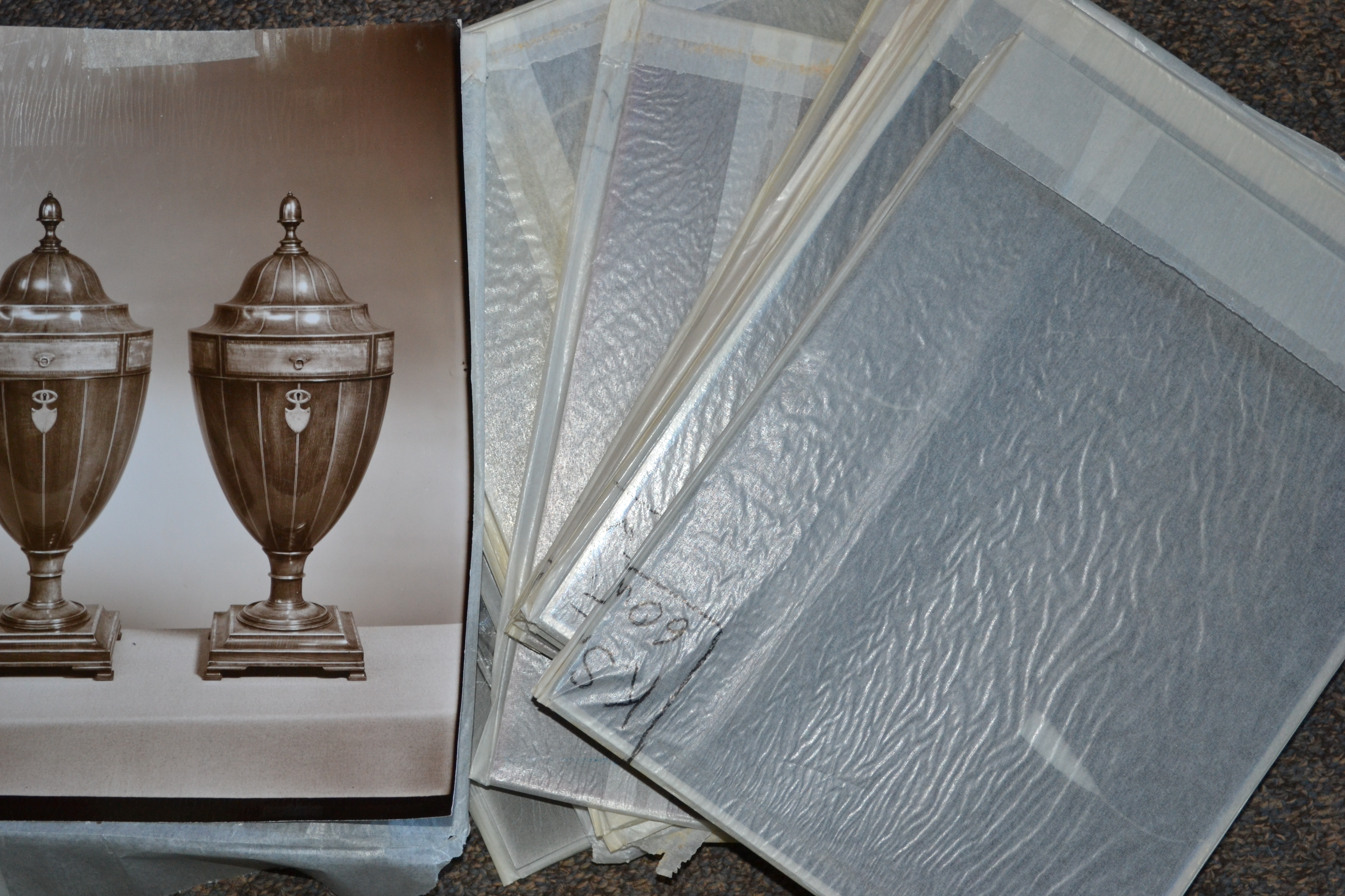 A collection of large glass plate negatives from the archive of