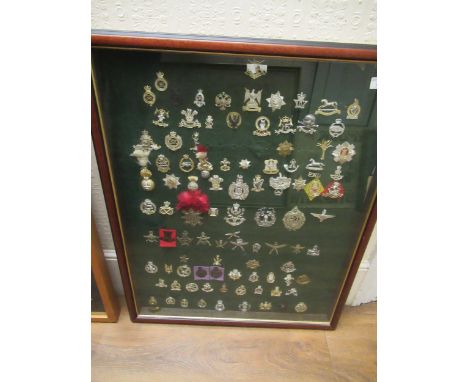 Modern box framed and glazed collection of British Army Staybrite anodised aluminium cap badges 
