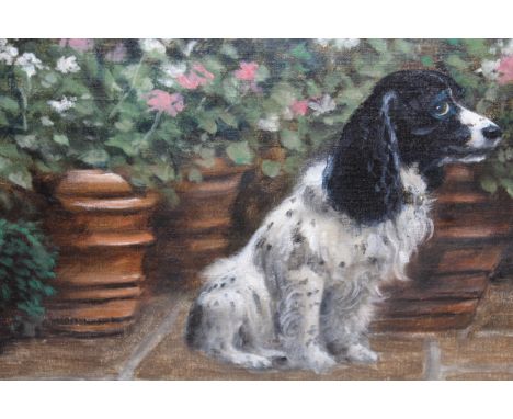 20th Century oil on canvas laid on board, portrait of a spaniel, 28cms x 35.5cms 