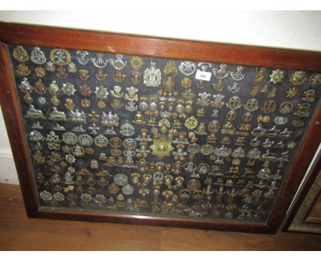 Large oak framed and glazed collection of mounted British Army cap badges, collars etc. from Victorian to World War IIThe bac