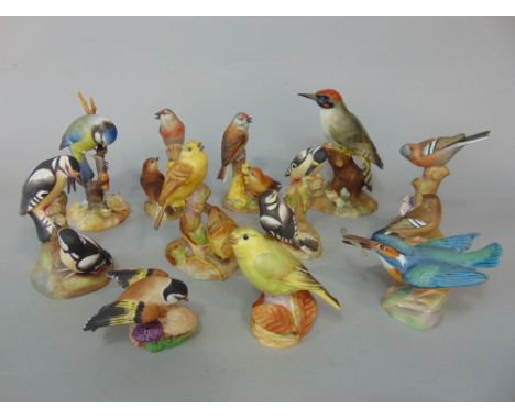 A collection of nine Royal Worcester models of birds including kingfisher, pied woodpeckers, linnets, etc, together with two 