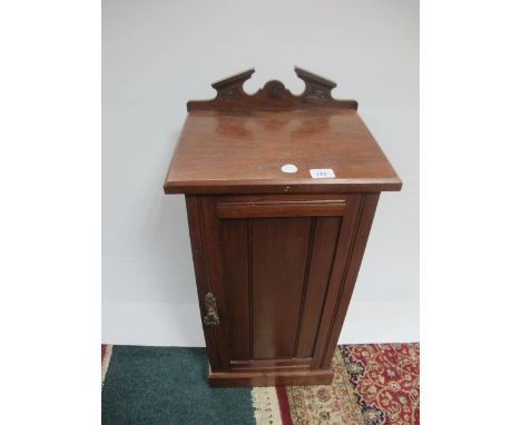 AN EDWARDIAN MAHOGANY PEDESTAL the rectangular top above a panel door on platform base 80cm (h) x 36cm (w) x 32cm (d)