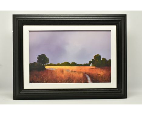 BARRY HILTON (BRITISH 1941) 'ENDURING LIGHT', a signed limited edition print on board, depicting a stream running through a g